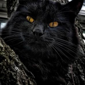 ����: �������� �������