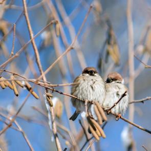 �������� �����