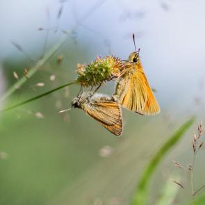 ����: ������� �������������...