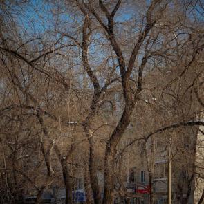 ����: ������������