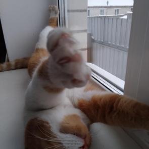 ����: ������� �������....