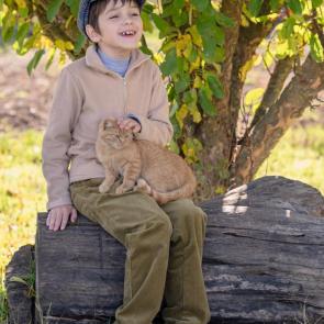 ����: ������ � �����