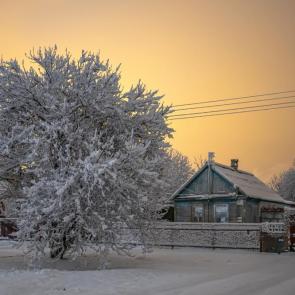 ����: ��������� ����