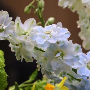 ����: ���������� 