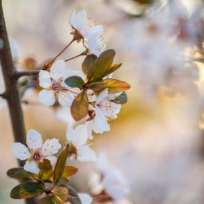 ����: �������� �����