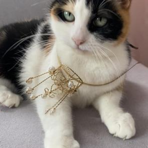 ����: ������� ����� 