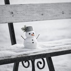 ����: ��������