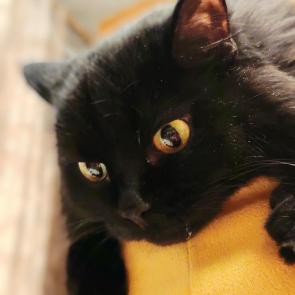 ����: � ������������.. 