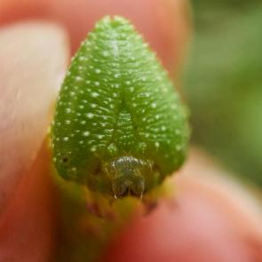 ����: ������� ������