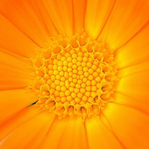 ����: ��������� �������