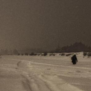 ����: ������