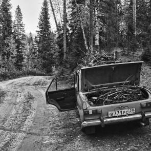 ����: ���������