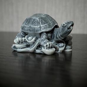 ����: �������� � �������