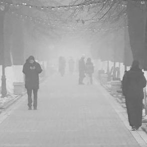 ����: �����