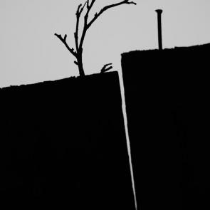 ����: �������� �����