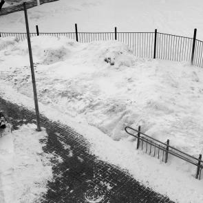 ����: ����