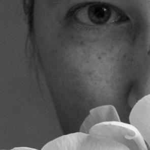 ����: �����������