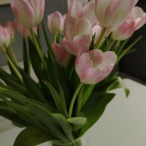 ����: ����� ����