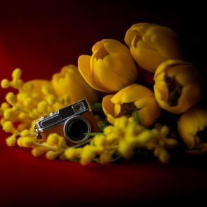 �������� �����