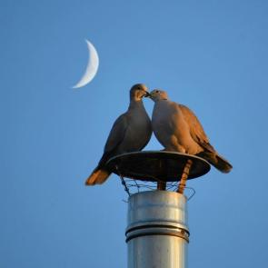 ����: ������ � ������ 