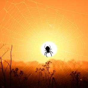 ����: ������ � �����