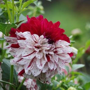 ����: ������� 2� �������...