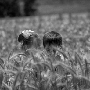 ����: ������