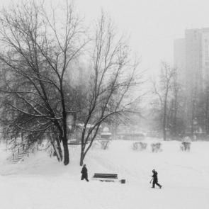 ����: ������������ ��������� 