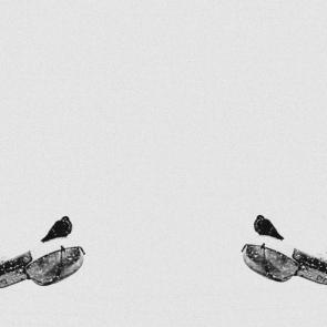 ����: ��������� ����������� 