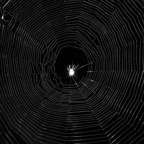 ����: ������ ��������