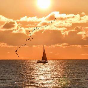 ���� ��������: �������� � ������ ������