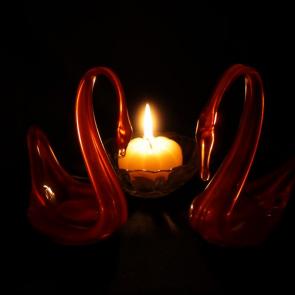 �������� ��������� � �������