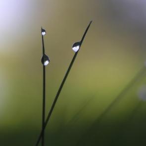 ���� ��������: 