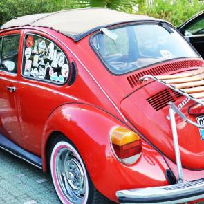 ������ ������ ���