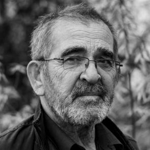 ����: ���� ����