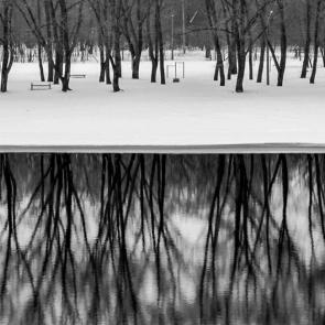 ���� ��������: ������ ���� 