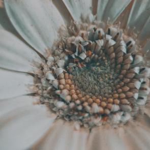 ���� ��������: 