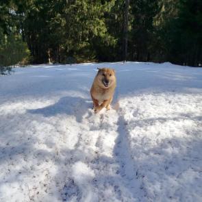 ����: �� ���! 