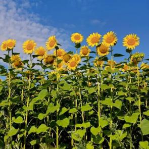 ����:  � ������!