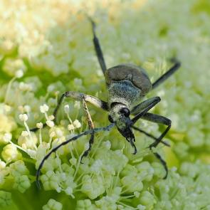 ����: �� ������ ��� � ���� �����������