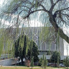 ����: ��� ������