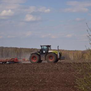 ������ ������ ���