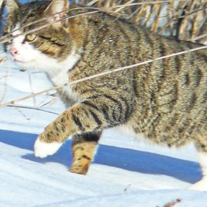 ����: ����� � �������