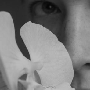 ����: �����������