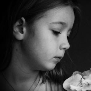 ����: ������� ������� � �������