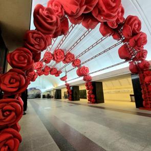 ���� ��������: � 8 �����!