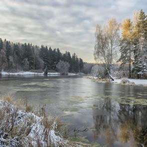 ���� ��������: 