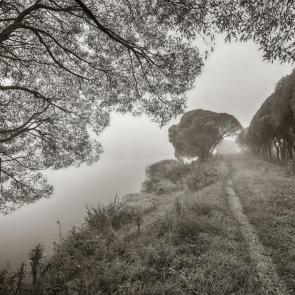 � ����������� �����