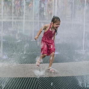 ����: ������ ������