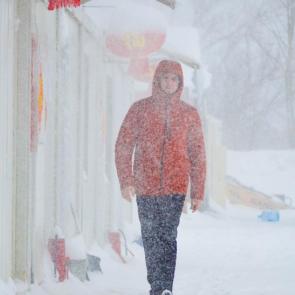 ����: ������